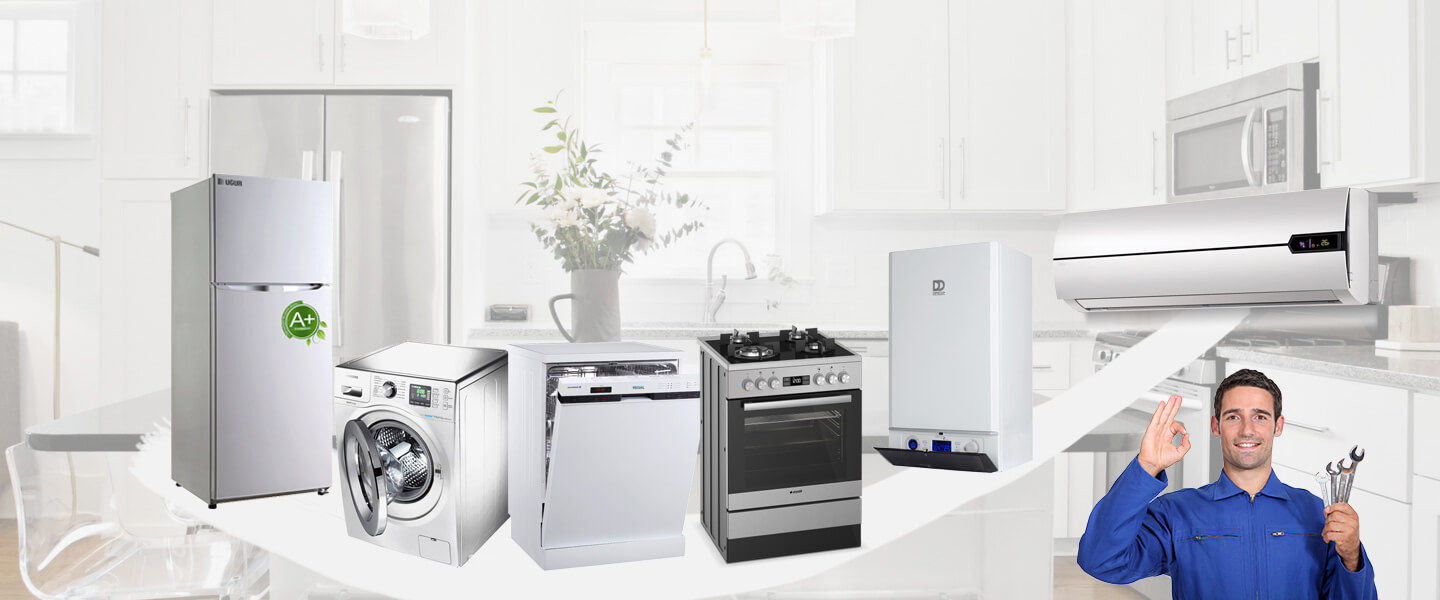 Hadim Electrolux Servisi